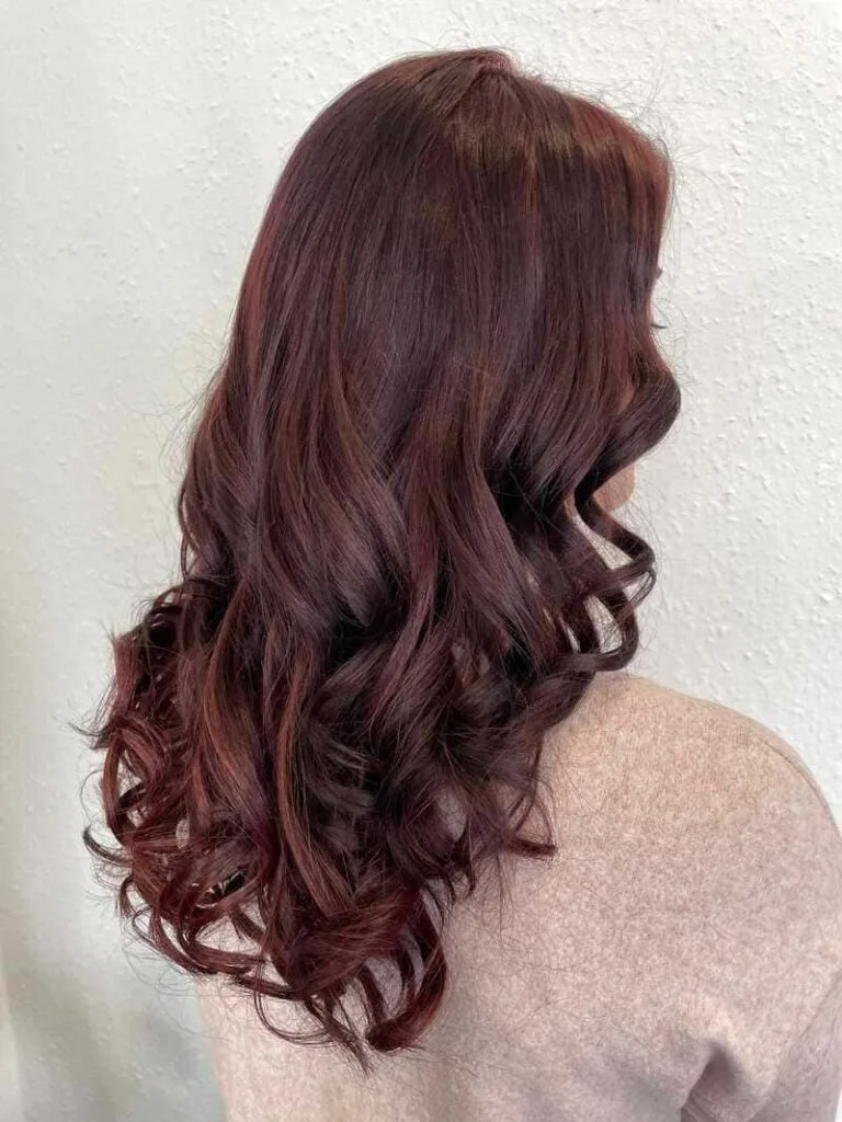 333623403 205353732164446 3207546718542401592 n